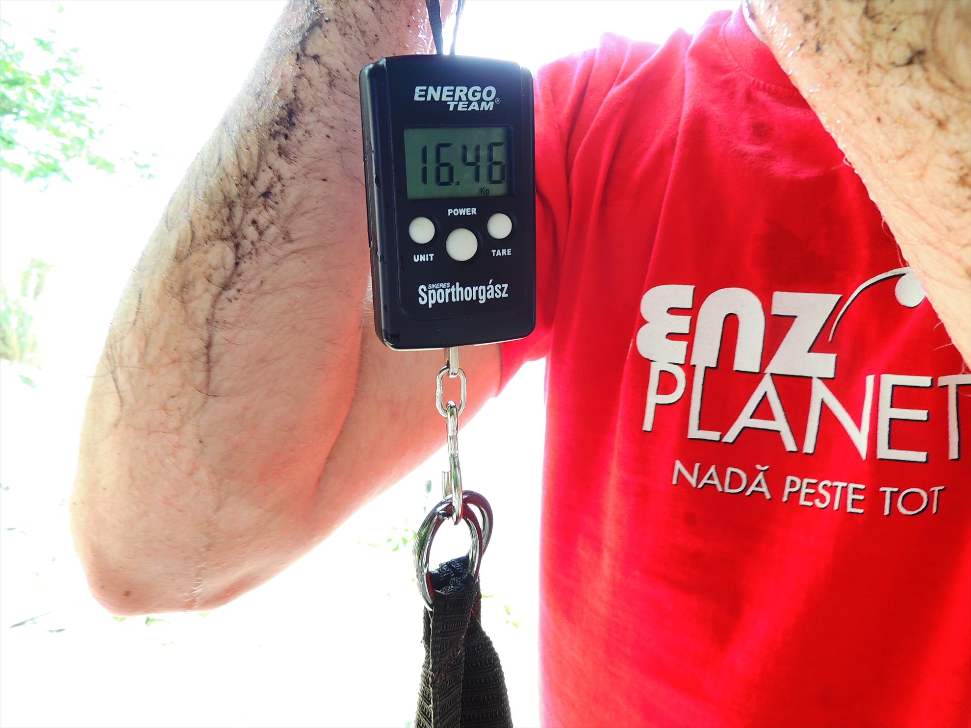 Tancabesti 14 - 16 iunie 2015 - dscn6764.JPG